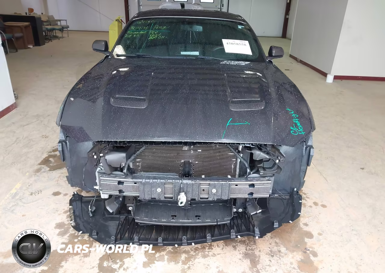 2019 Ford Mustang Ecoboost VIN:1FA6P8TH2K5166232 - 6