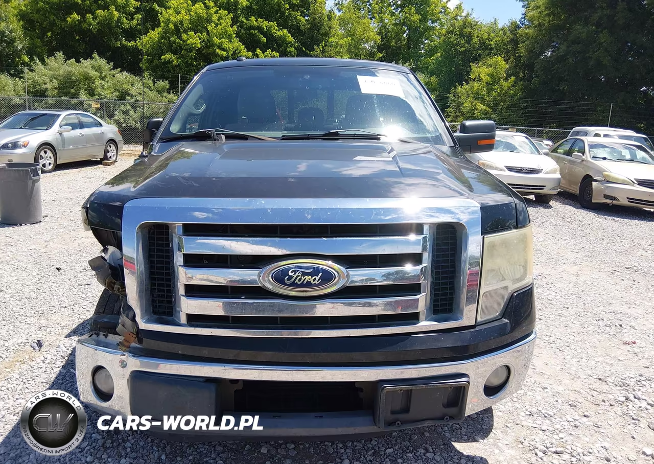 2011 Ford F-150 Xlt VIN:1FTFX1CT7BFD31773 - 12