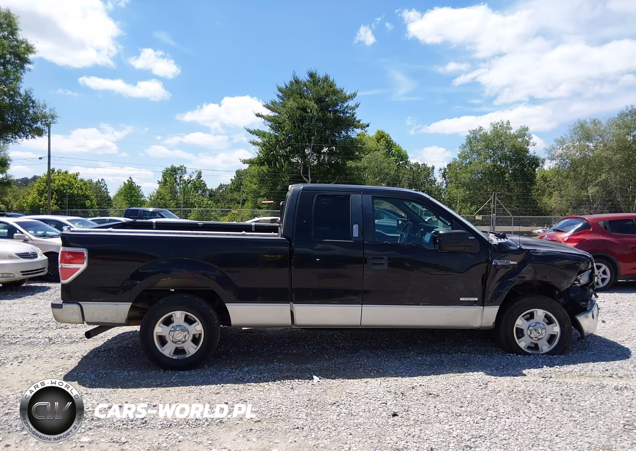 2011 Ford F-150 Xlt VIN:1FTFX1CT7BFD31773 - 13