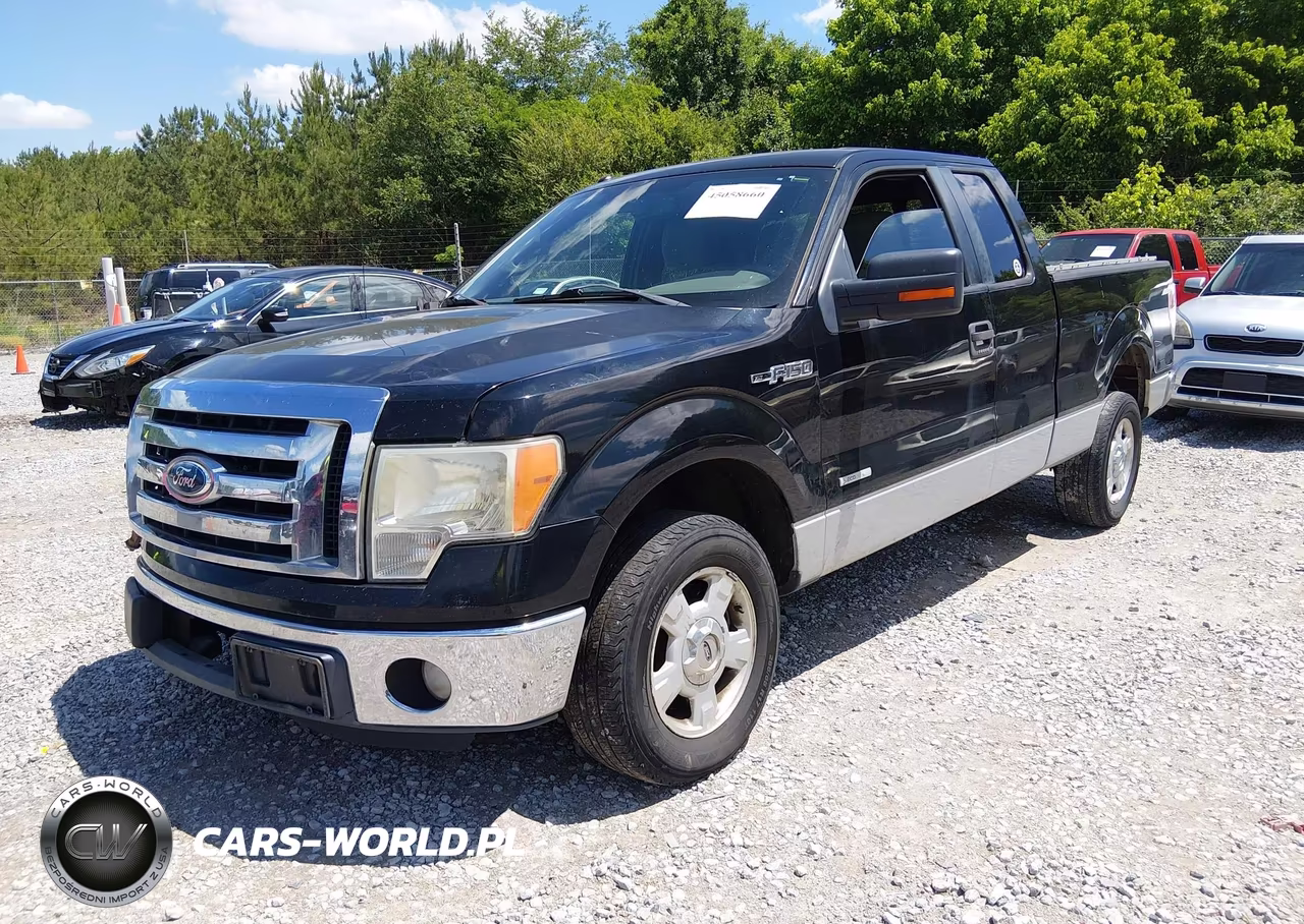 2011 Ford F-150 Xlt VIN:1FTFX1CT7BFD31773 - 2
