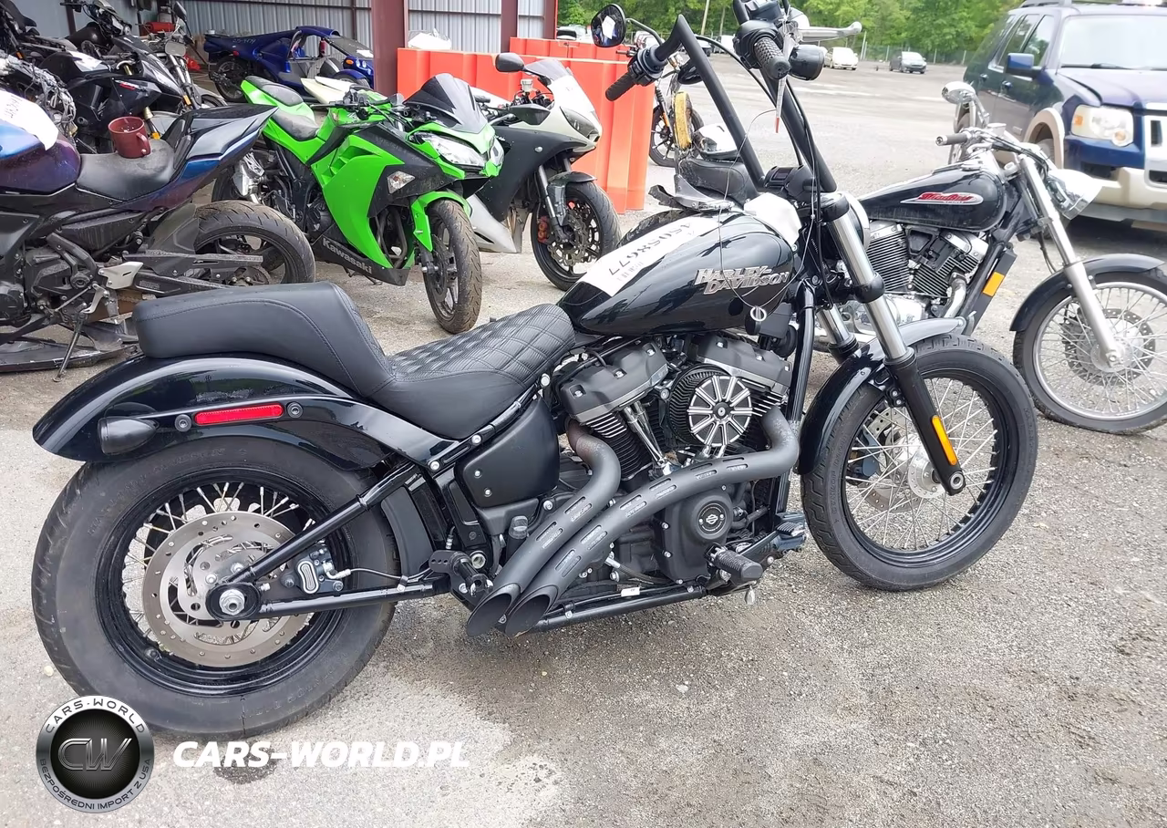 2019 Harley-Davidson Fxbb VIN:1HD1YJJ22KB065280 - 11