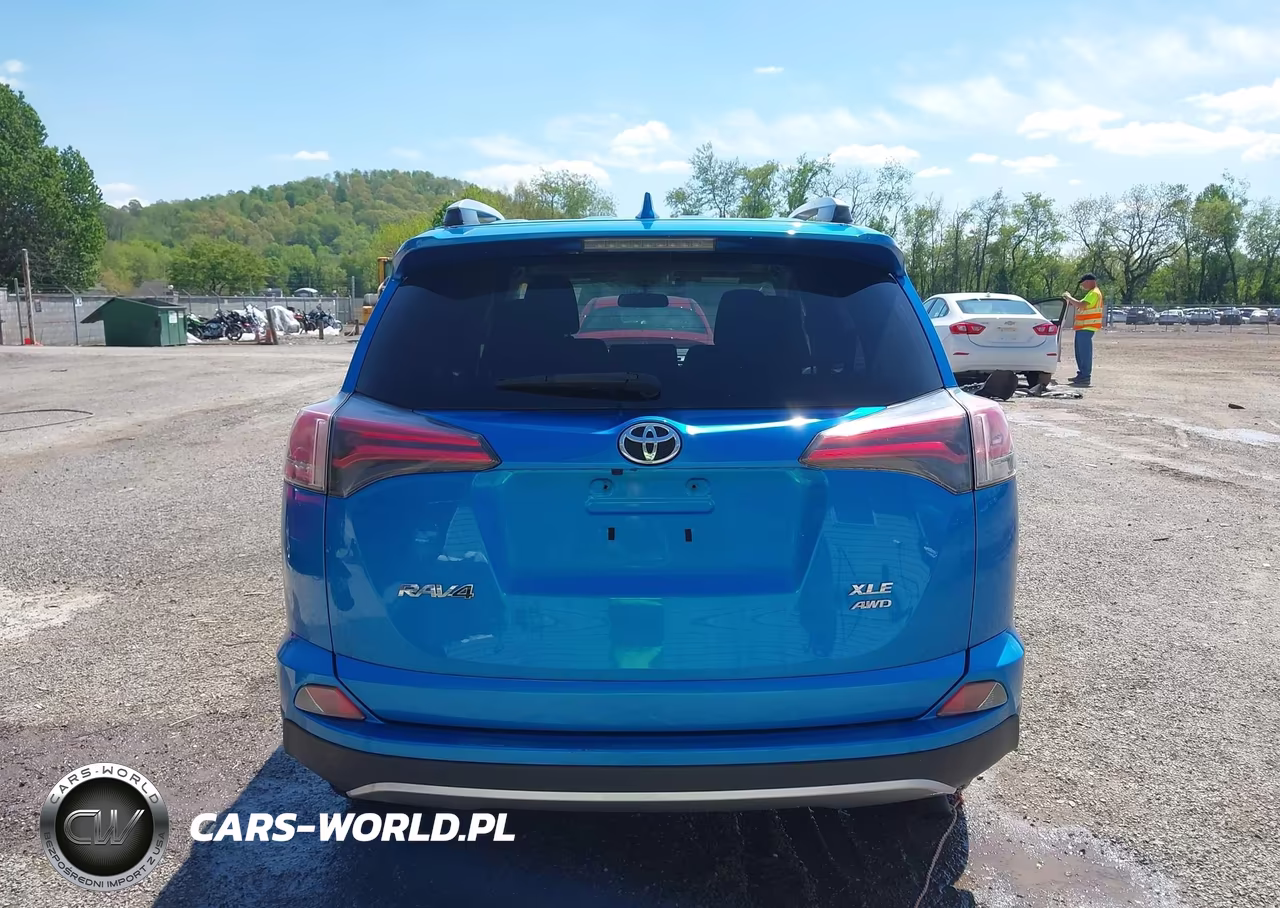 2016 Toyota Rav4 Xle VIN:JTMRFREV1GD185192 - 16