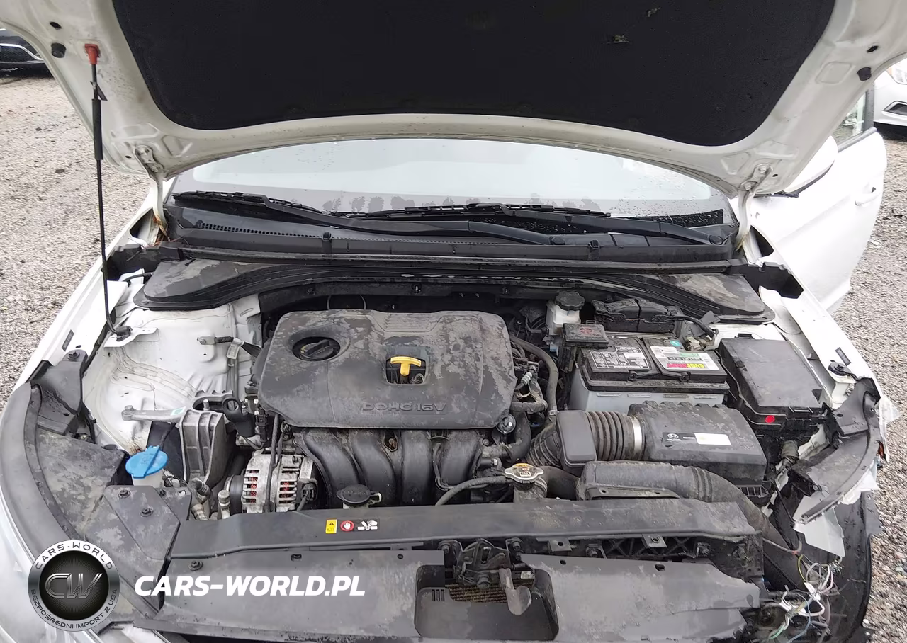 2019 Hyundai Elantra Sel VIN:5NPD84LF7KH461543 - 10
