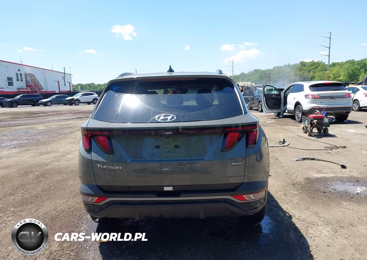 2024 Hyundai Tucson Sel VIN:5NMJBCDE1RH347386 - 17