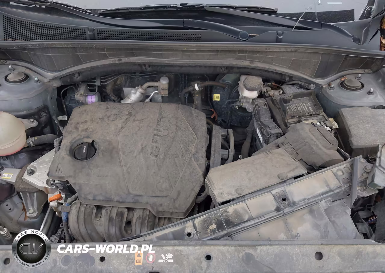 2023 Hyundai Santa Fe Sel VIN:5NMS24AJ1PH545488 - 10