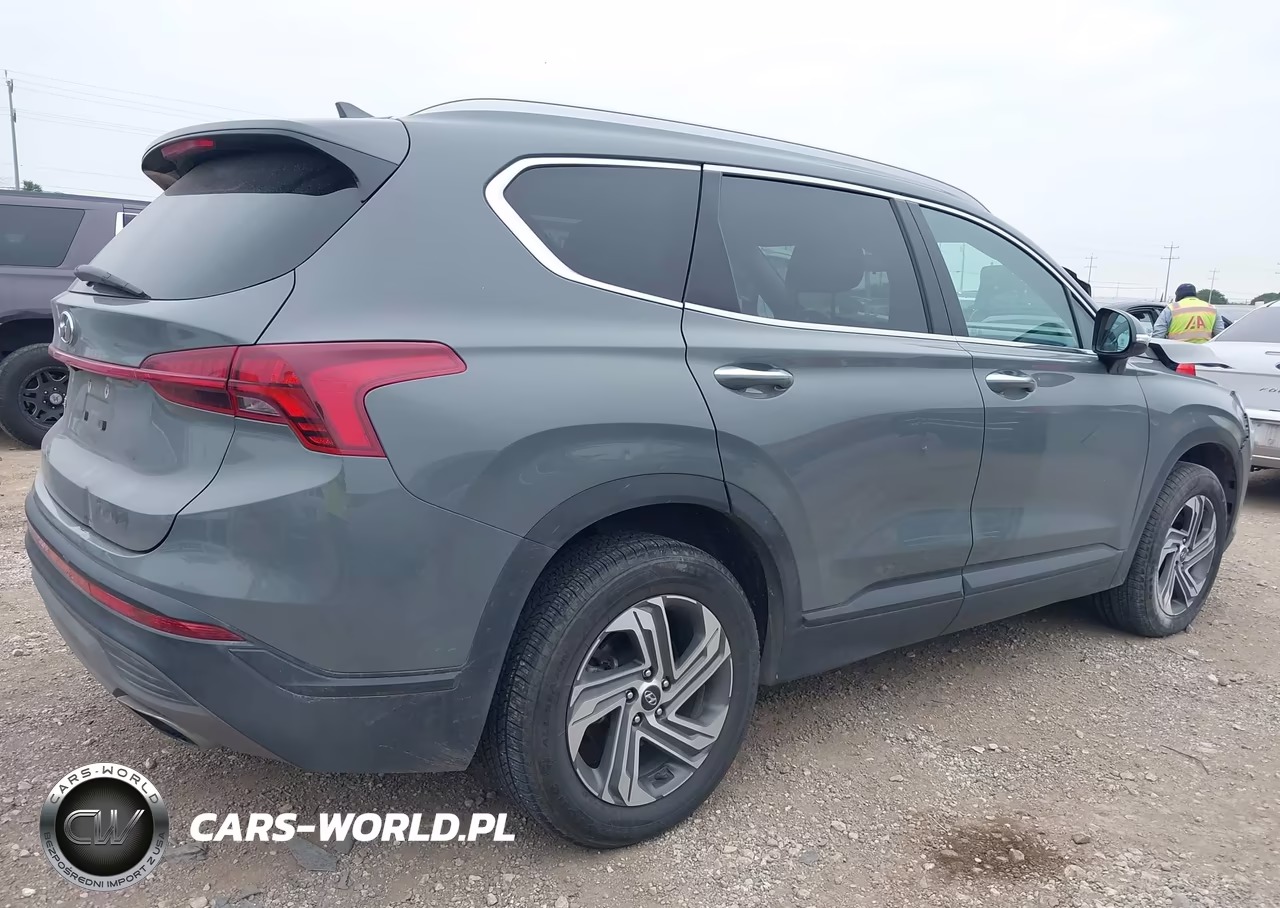 2023 Hyundai Santa Fe Sel VIN:5NMS24AJ1PH545488 - 4