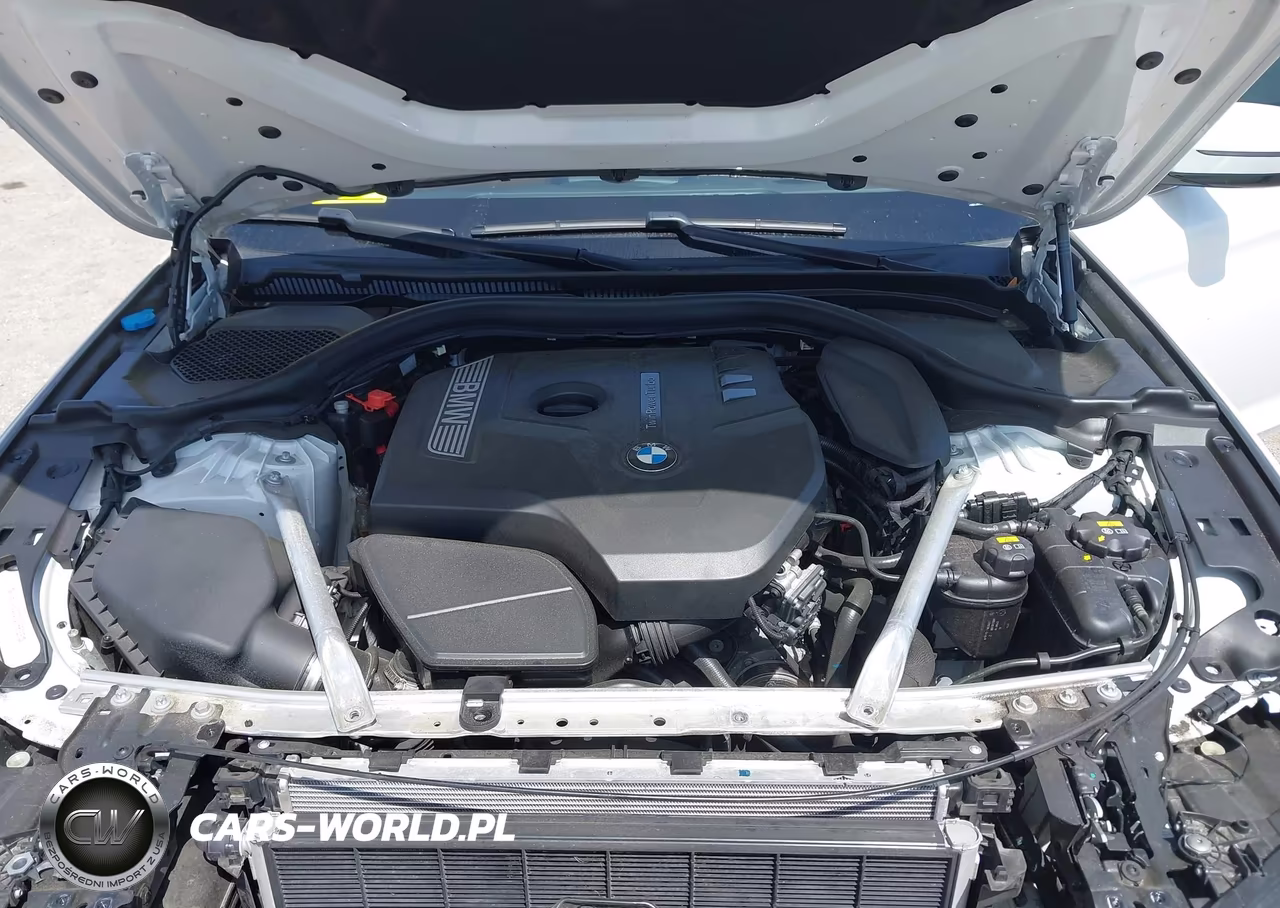 2019 BMW 530I VIN:WBAJA5C53KBX88198 - 10