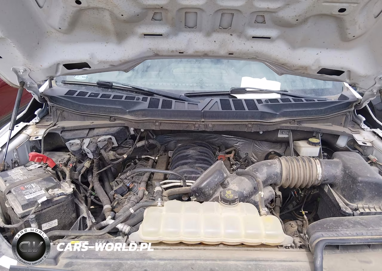 2023 Ford F-150 Xl VIN:1FTFW1E51PKD13592 - 10