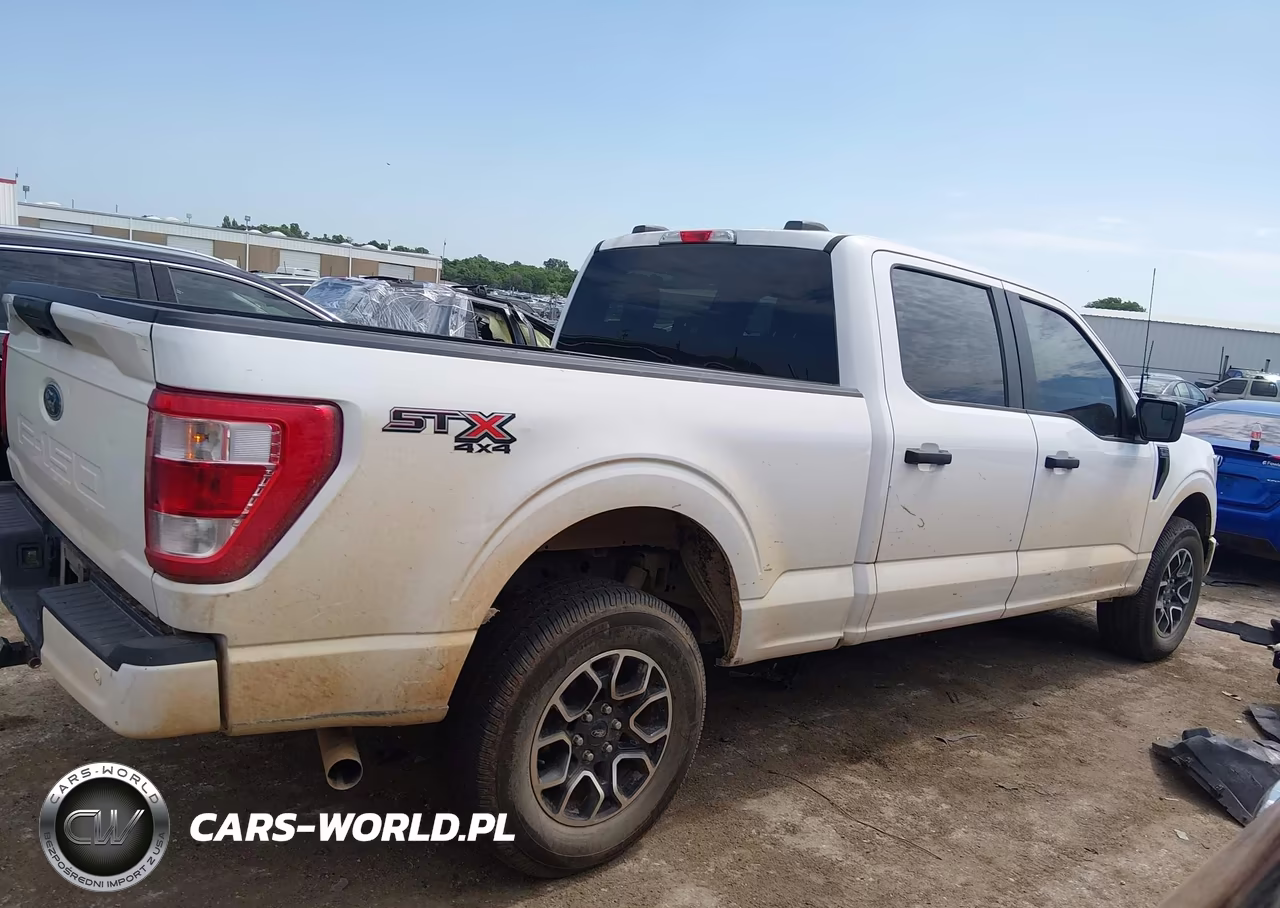 2023 Ford F-150 Xl VIN:1FTFW1E51PKD13592 - 12