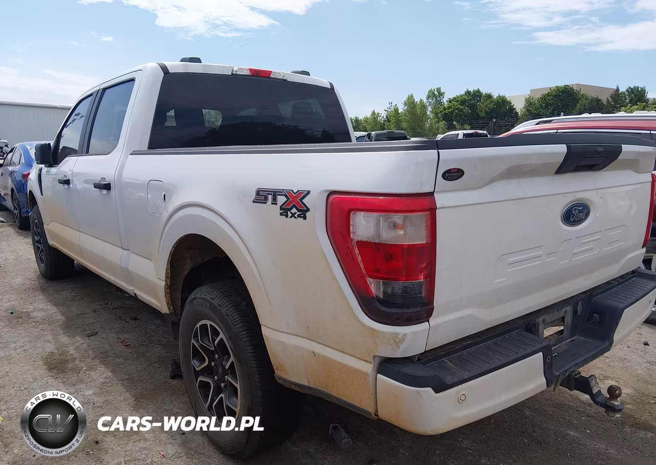 2023 Ford F-150 Xl VIN:1FTFW1E51PKD13592 - 3