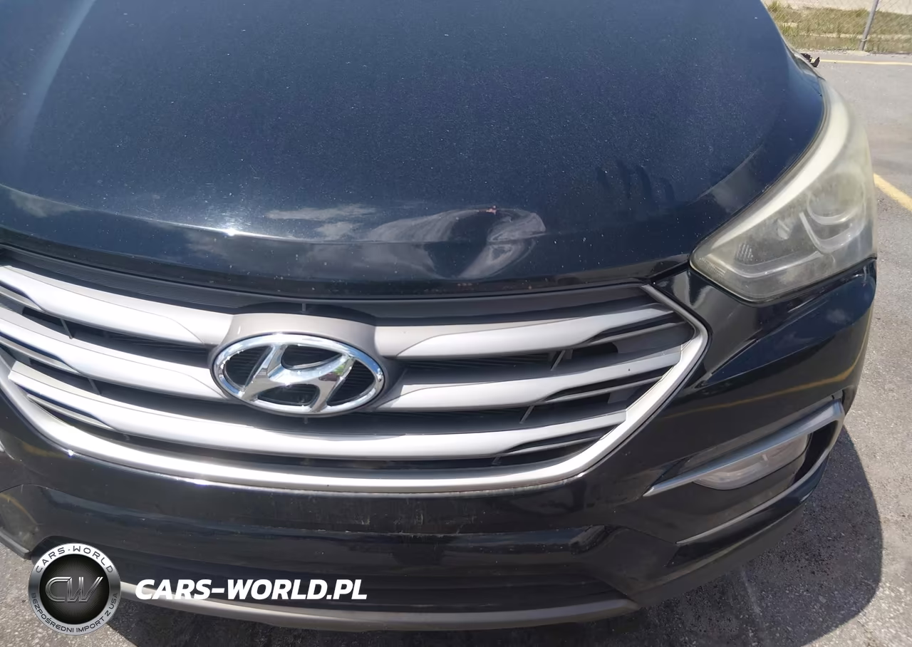 2017 Hyundai Santa Fe Sport 2.4L VIN:5NMZU3LB5HH020606 - 6