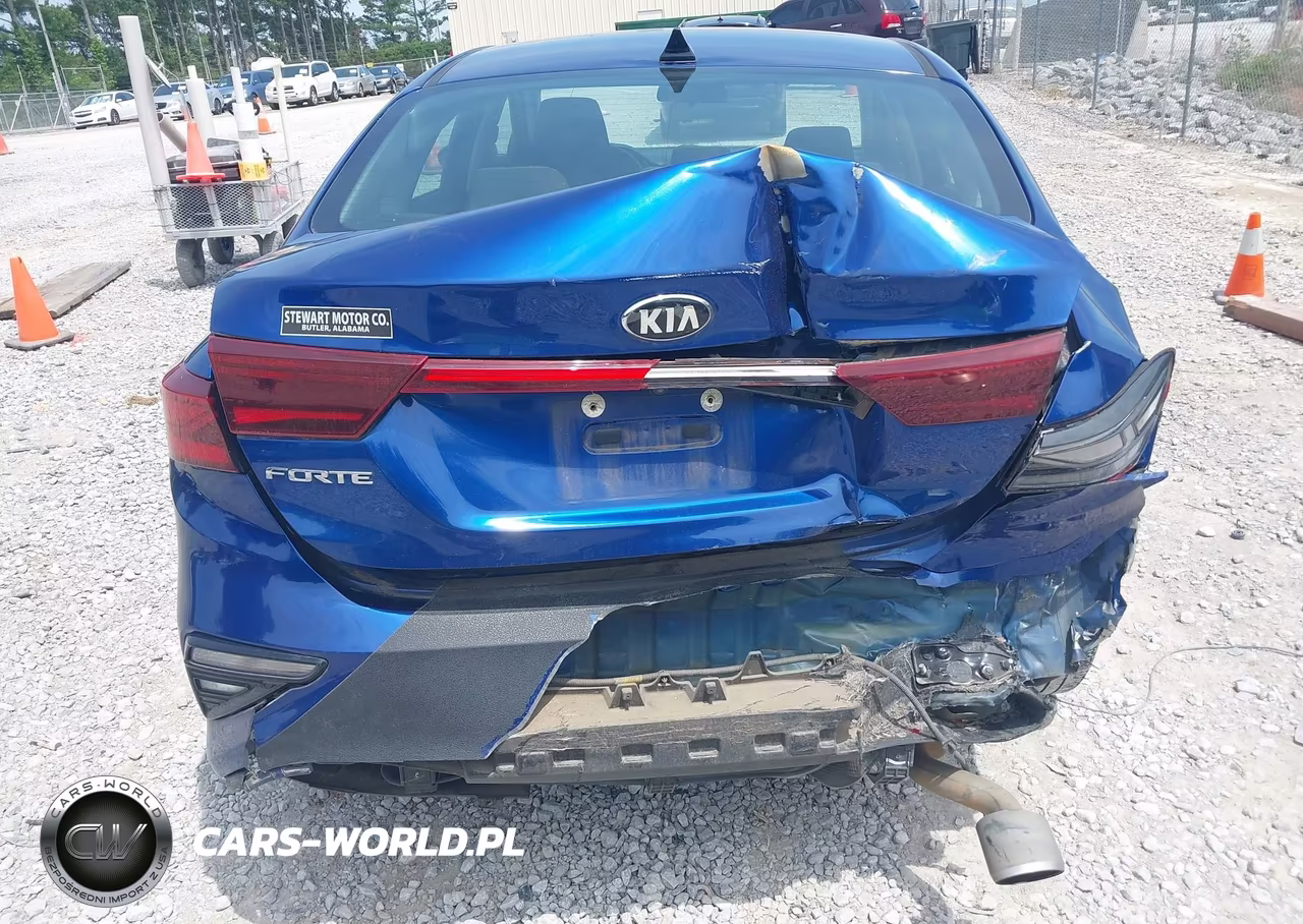 2019 Kia Forte Lxs VIN:3KPF24AD0KE050646 - 17