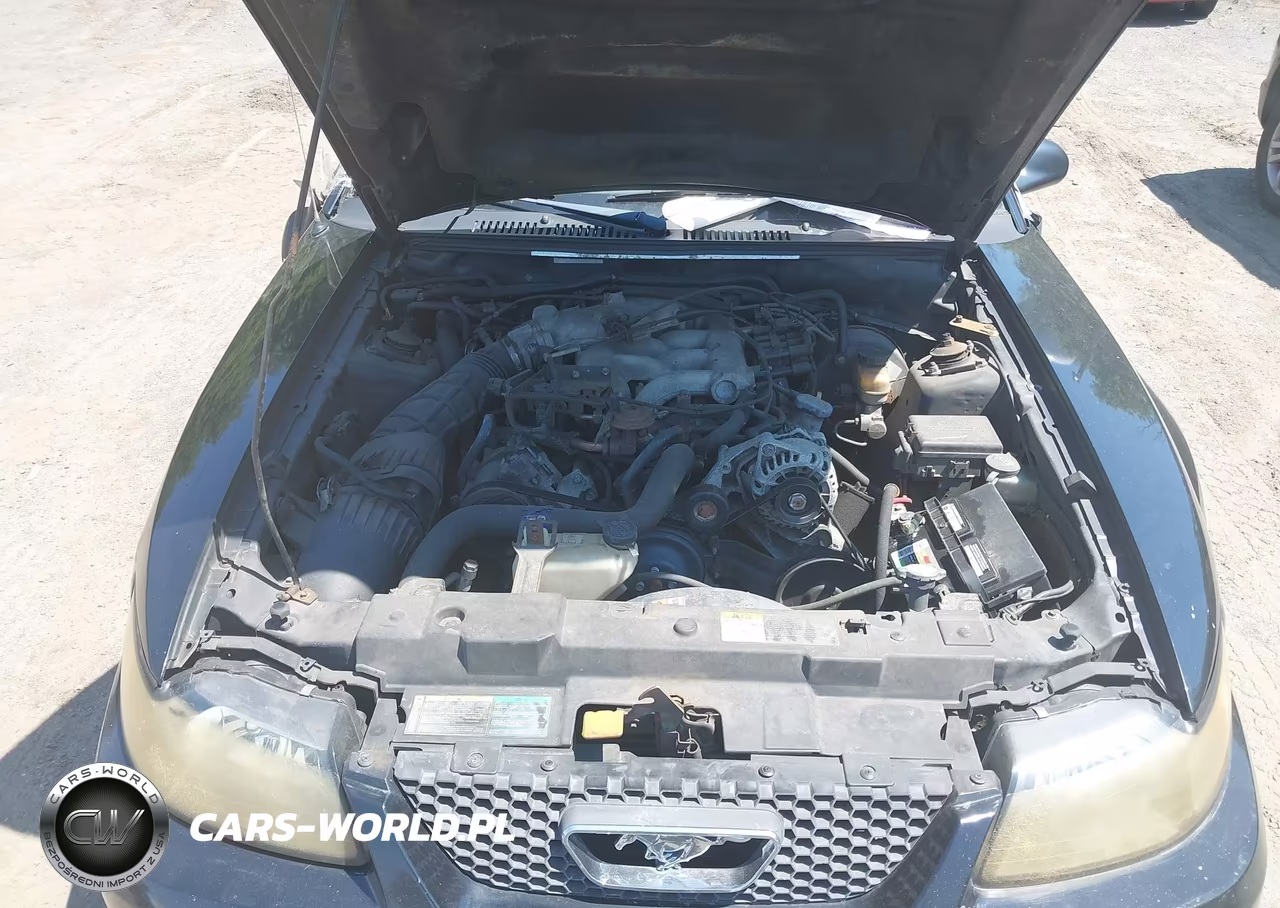 2004 Ford Mustang VIN:1FAFP40624F221934 - 10