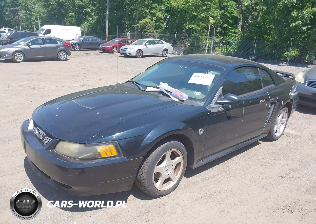 2004 Ford Mustang VIN:1FAFP40624F221934 - 2