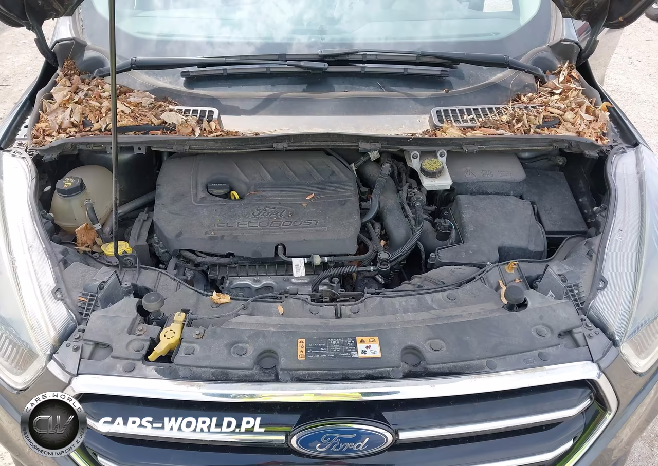 2018 Ford Escape Se VIN:1FMCU0GD9JUB06656 - 10