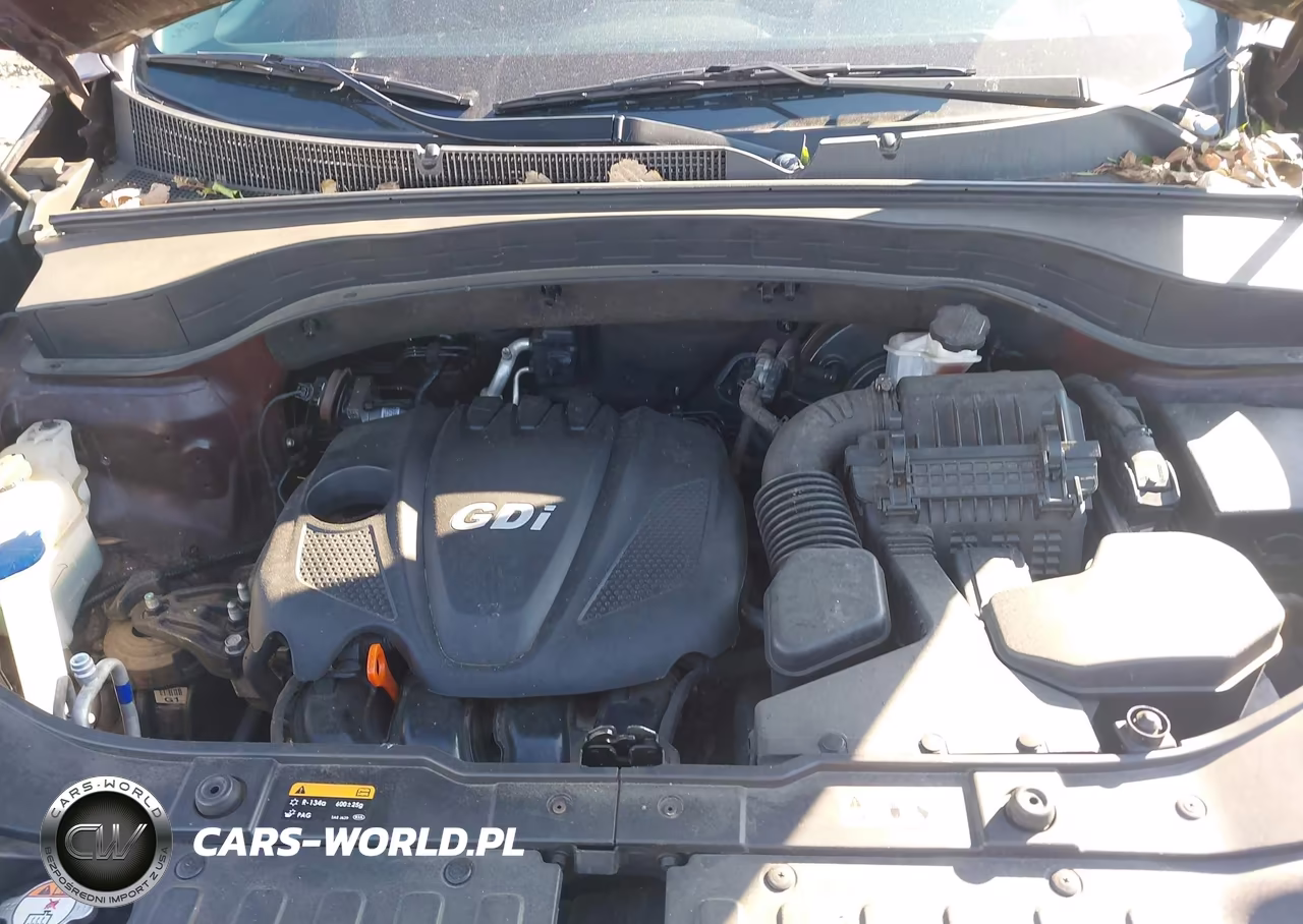 2014 Kia Sorento Lx VIN:5XYKT3A61EG455655 - 10