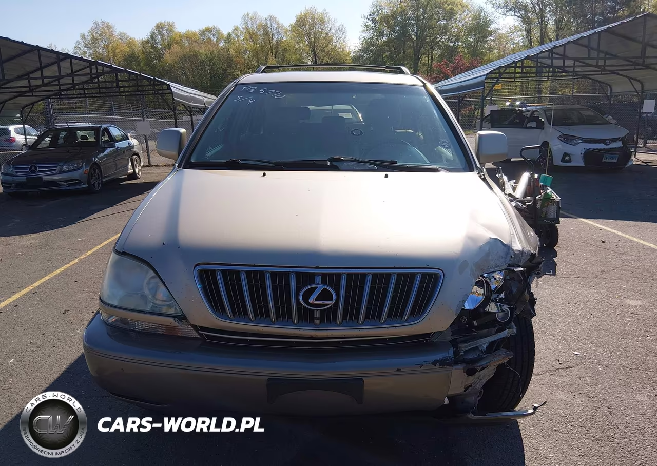 2002 Lexus Rx 300 VIN:JTJHF10U420268883 - 12