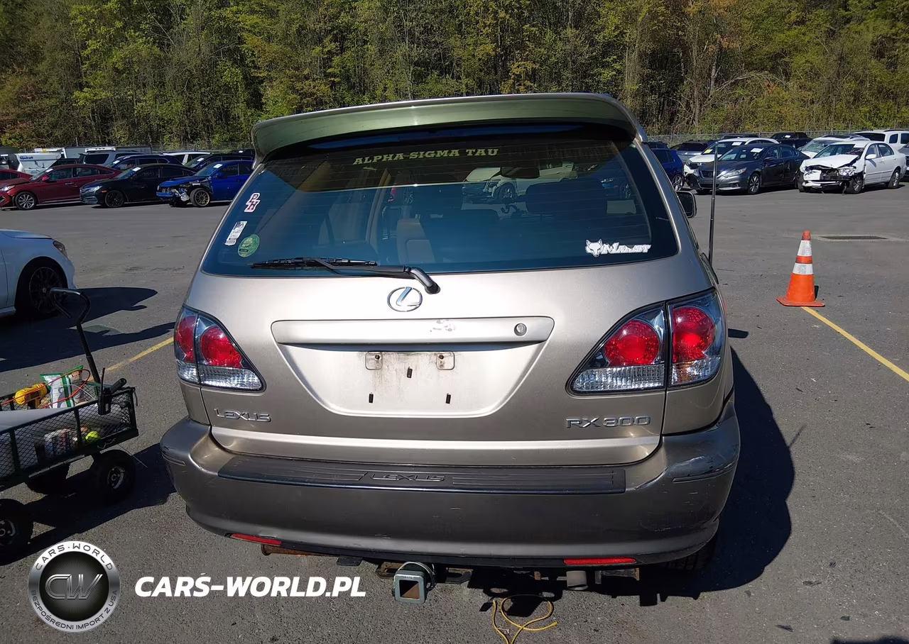 2002 Lexus Rx 300 VIN:JTJHF10U420268883 - 16