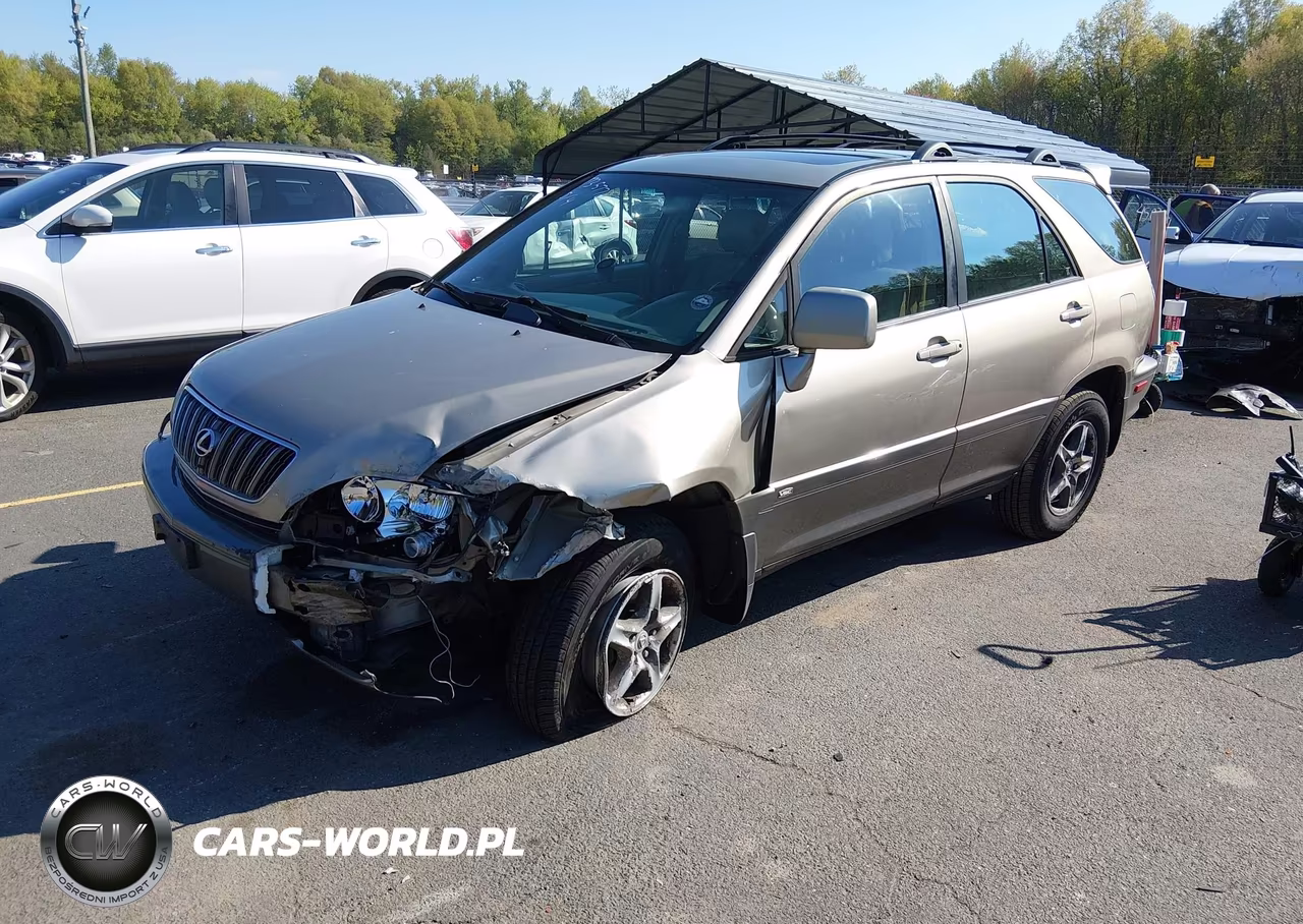 2002 Lexus Rx 300 VIN:JTJHF10U420268883 - 2