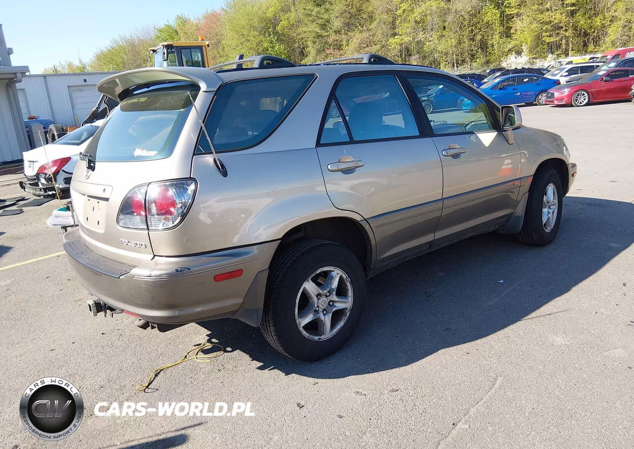 2002 Lexus Rx 300 VIN:JTJHF10U420268883 - 4