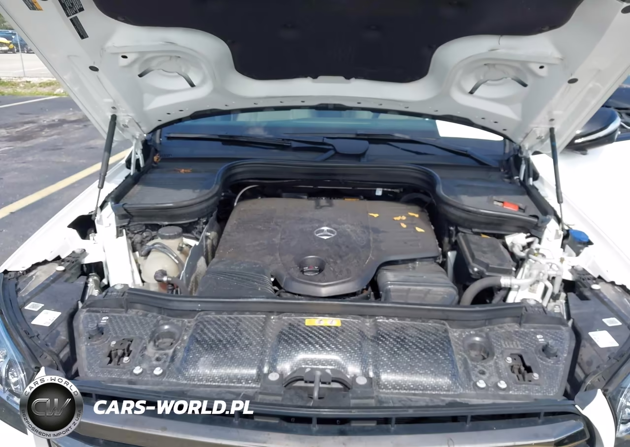 2024 Mercedes-Benz Gls 450 4Matic VIN:4JGFF5KE1RB231825 - 10