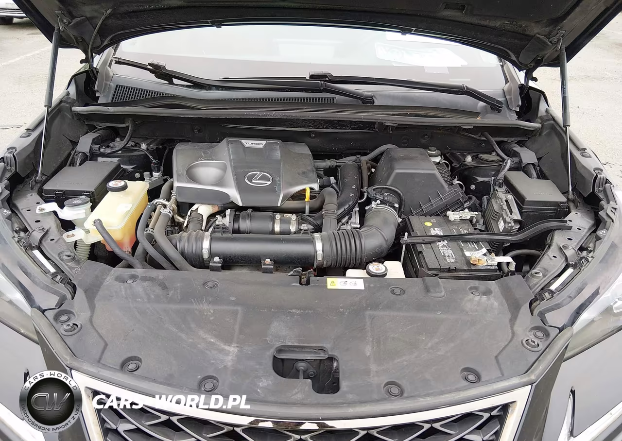 2018 Lexus Nx 300 F Sport VIN:JTJBARBZ5J2149187 - 10