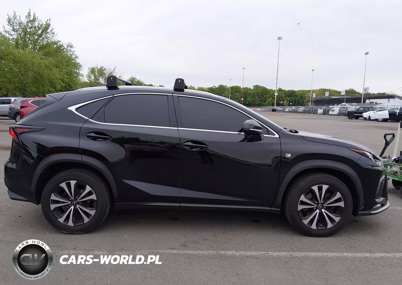 2018 Lexus Nx 300 F Sport VIN:JTJBARBZ5J2149187 - 13