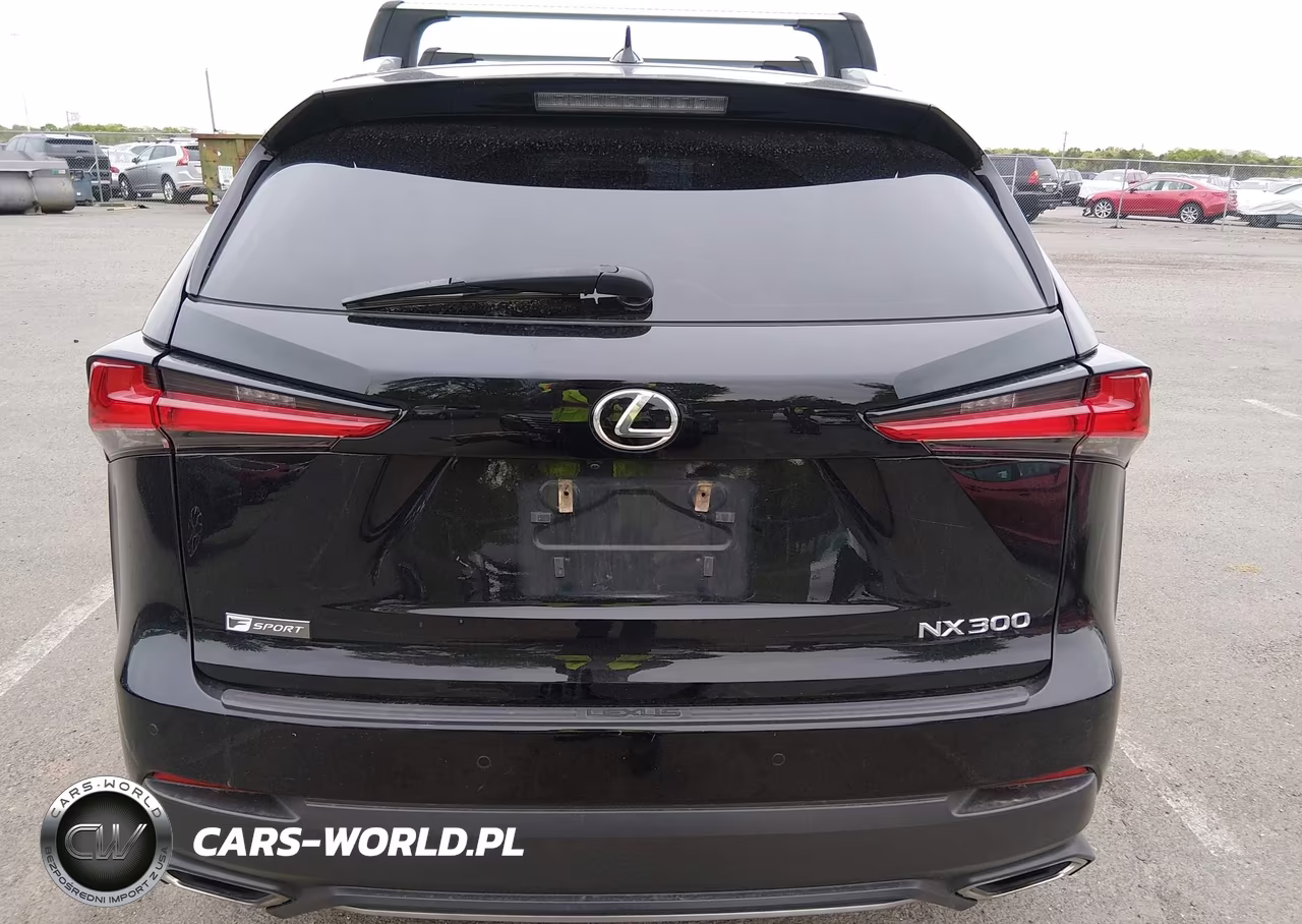 2018 Lexus Nx 300 F Sport VIN:JTJBARBZ5J2149187 - 16
