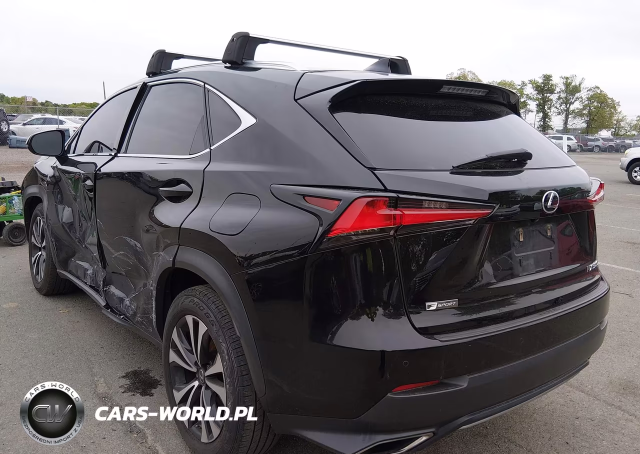2018 Lexus Nx 300 F Sport VIN:JTJBARBZ5J2149187 - 3