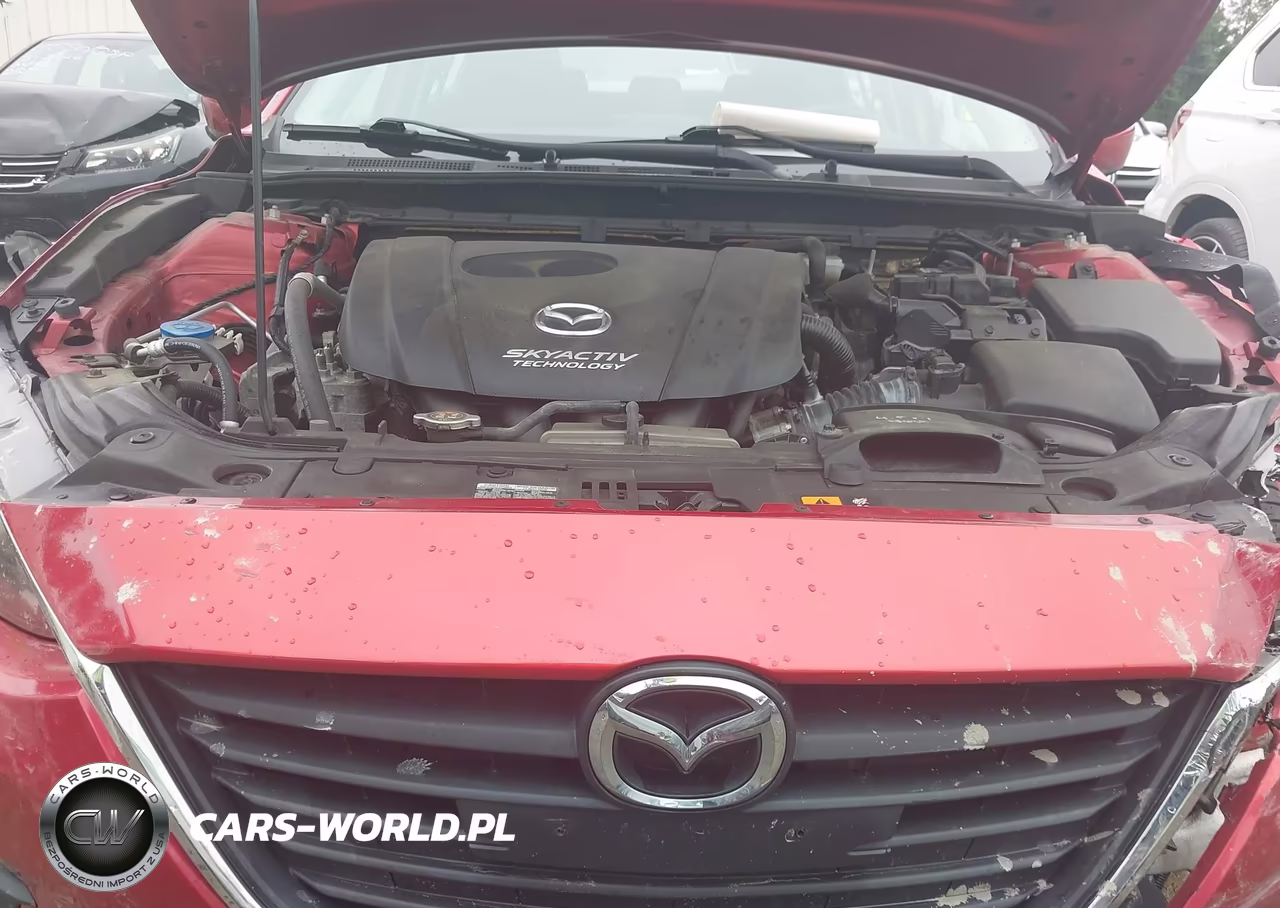 2016 Mazda Mazda3 I Touring VIN:JM1BM1M79G1322232 - 10