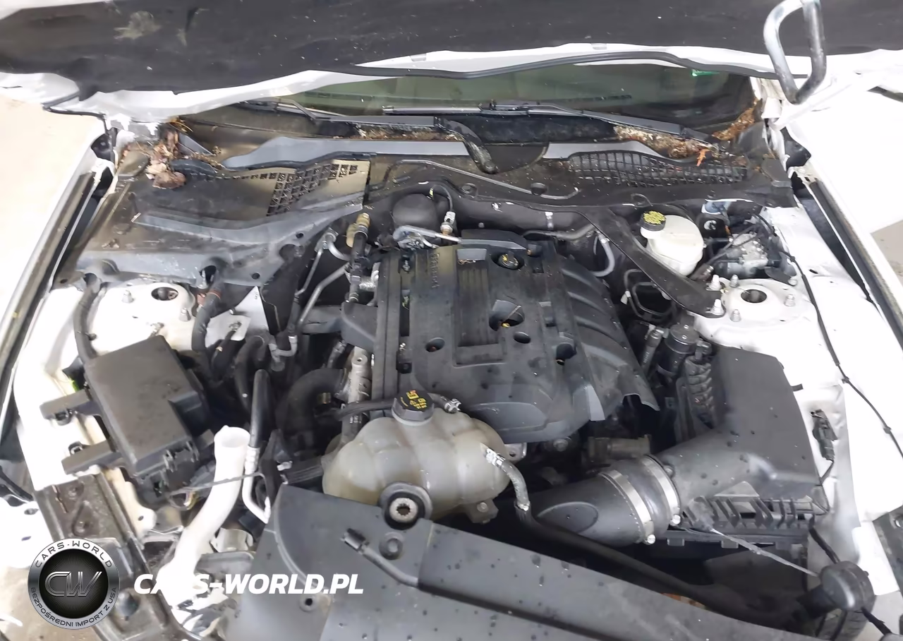 2017 Ford Mustang Ecoboost Premium VIN:1FATP8UH4H5331238 - 10