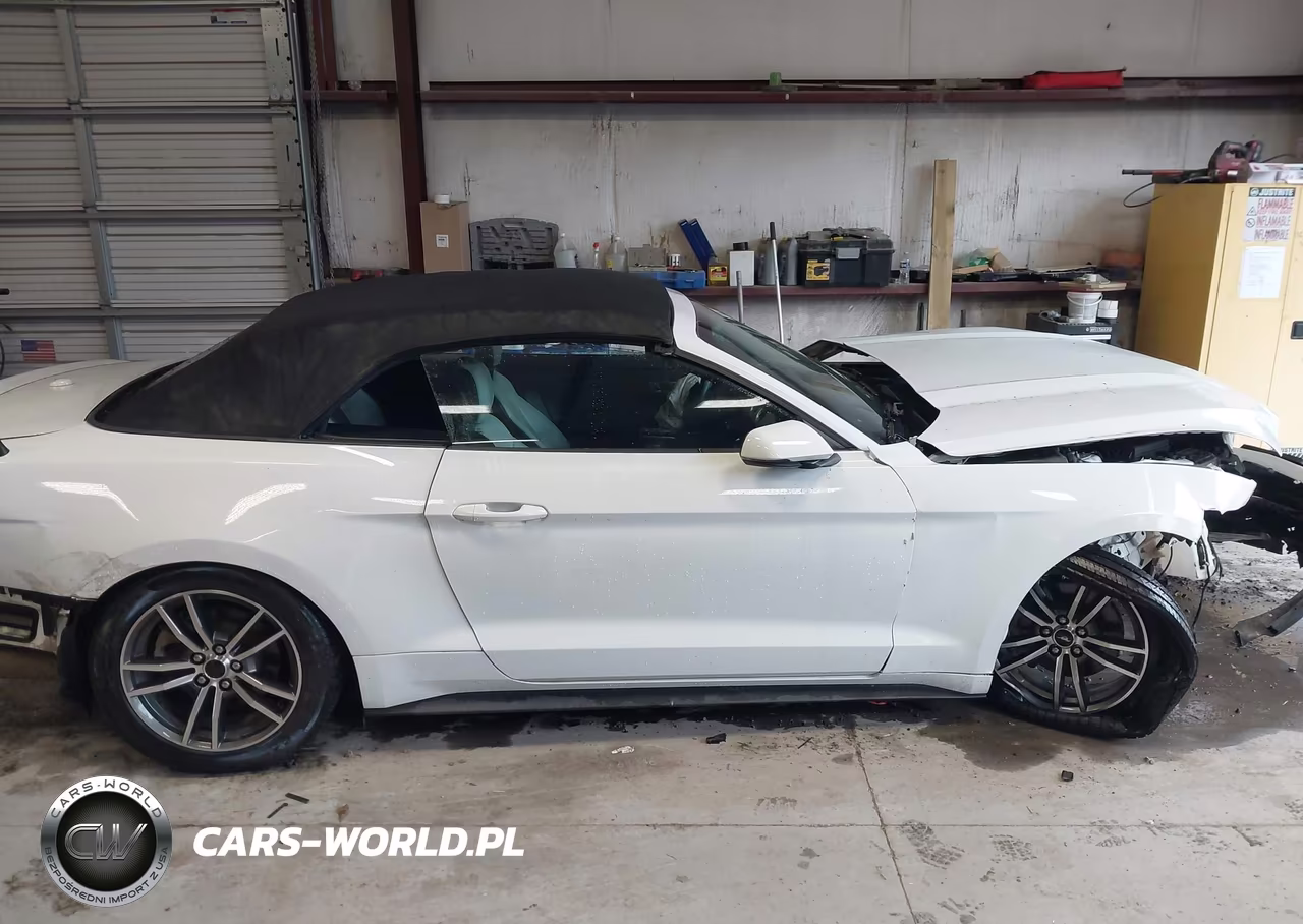 2017 Ford Mustang Ecoboost Premium VIN:1FATP8UH4H5331238 - 13