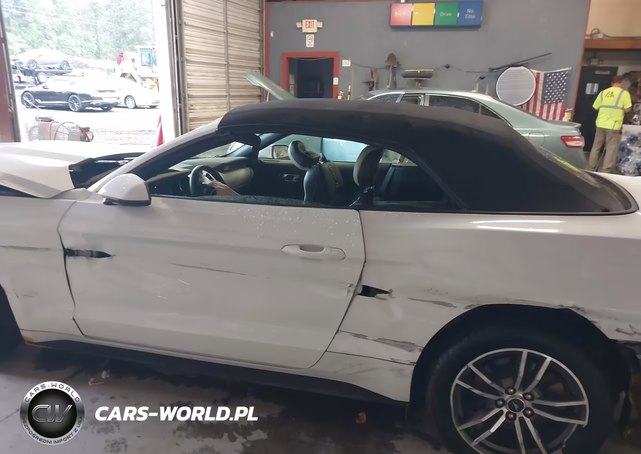 2017 Ford Mustang Ecoboost Premium VIN:1FATP8UH4H5331238 - 14