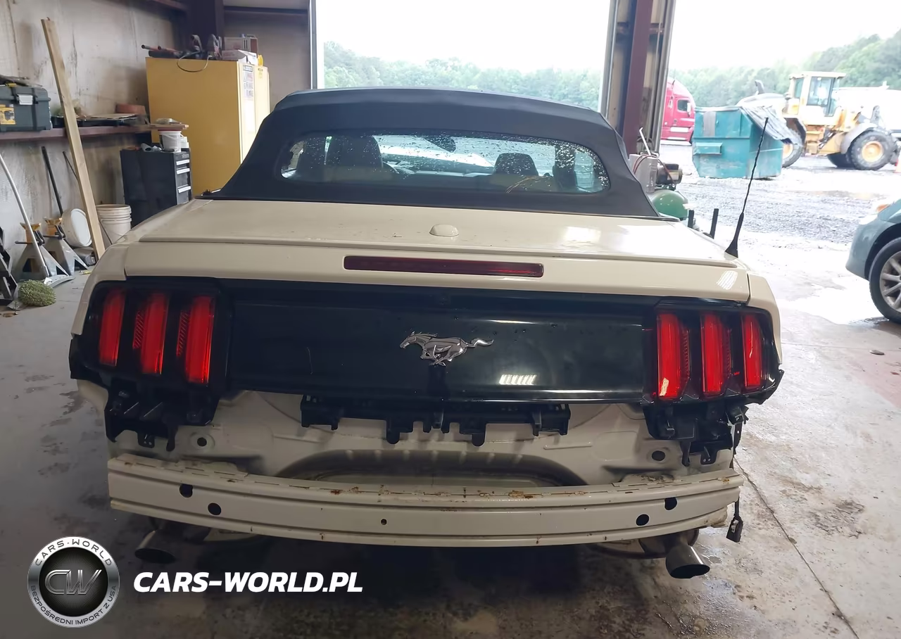 2017 Ford Mustang Ecoboost Premium VIN:1FATP8UH4H5331238 - 16