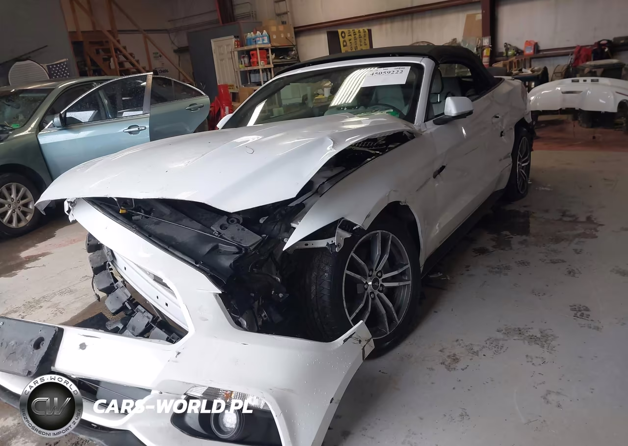2017 Ford Mustang Ecoboost Premium VIN:1FATP8UH4H5331238 - 2