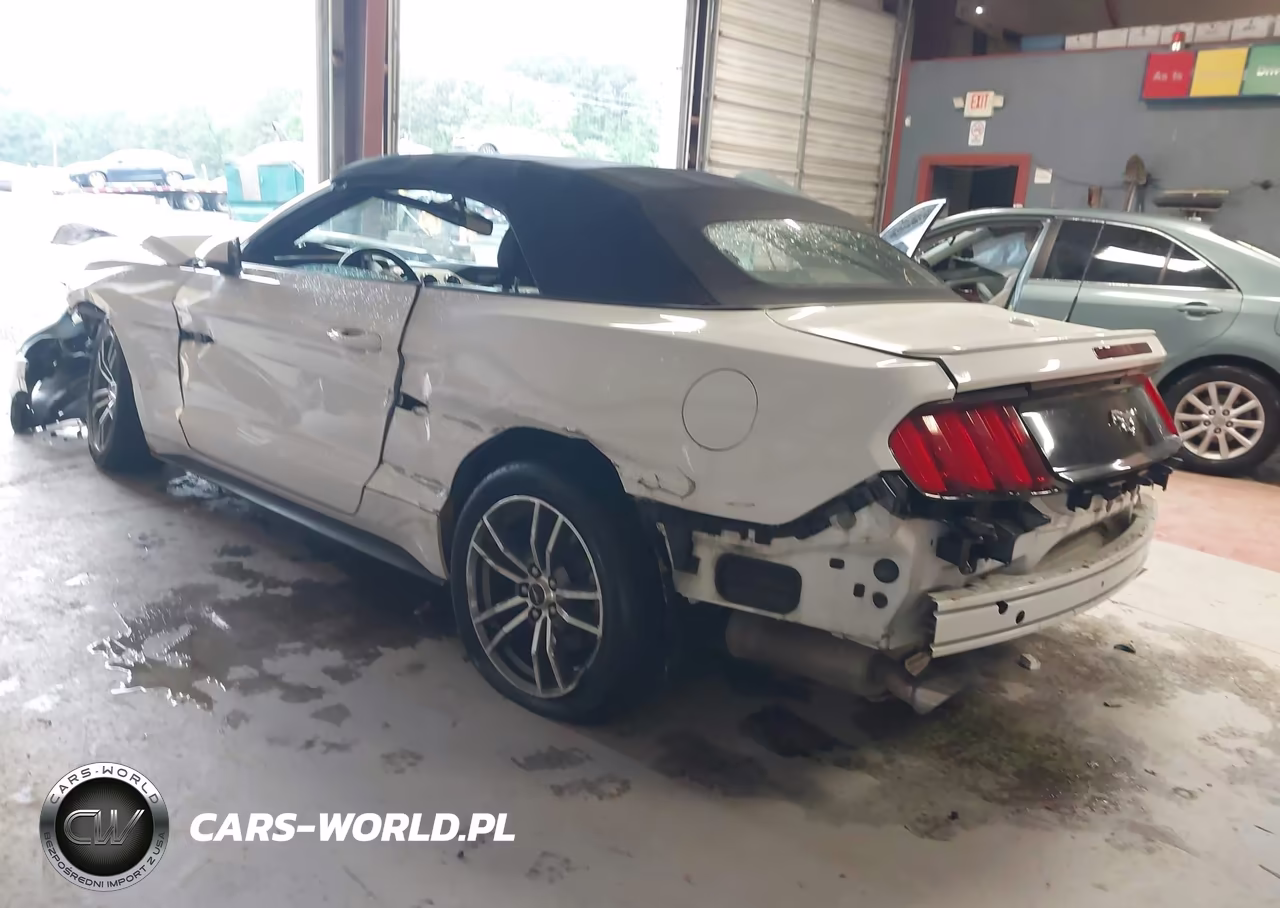 2017 Ford Mustang Ecoboost Premium VIN:1FATP8UH4H5331238 - 3
