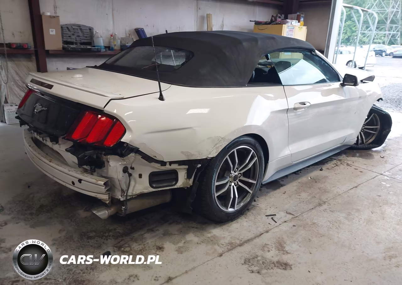 2017 Ford Mustang Ecoboost Premium VIN:1FATP8UH4H5331238 - 4