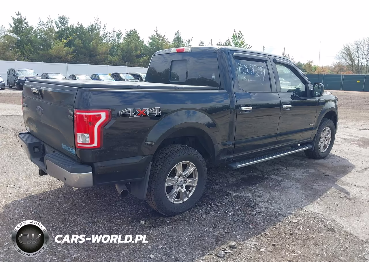 2016 Ford F-150 Xlt VIN:1FTEW1EG1GFB82511 - 4