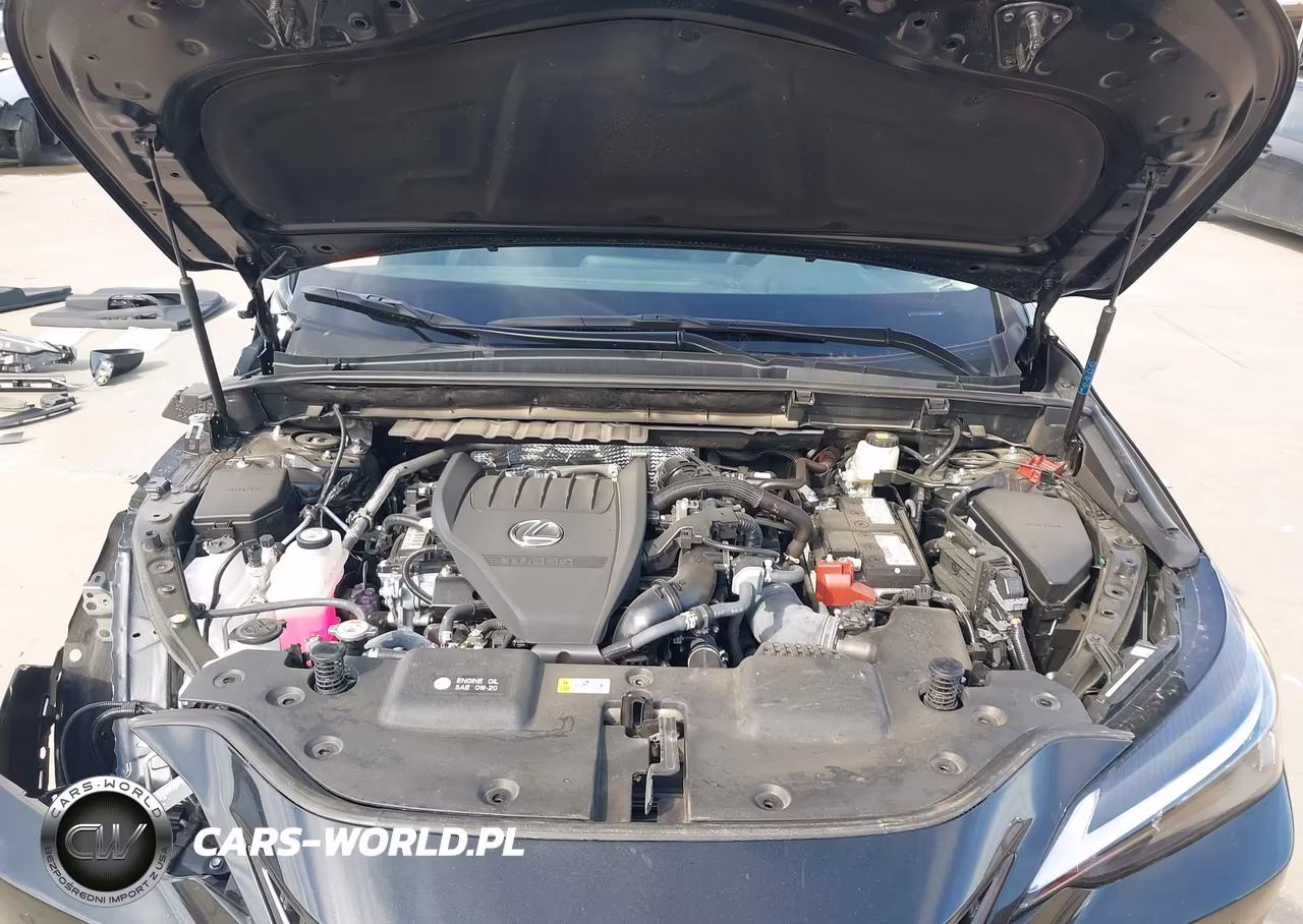2025 Lexus Nx 350 Premium VIN:2T2GGCEZ8SC066190 - 10