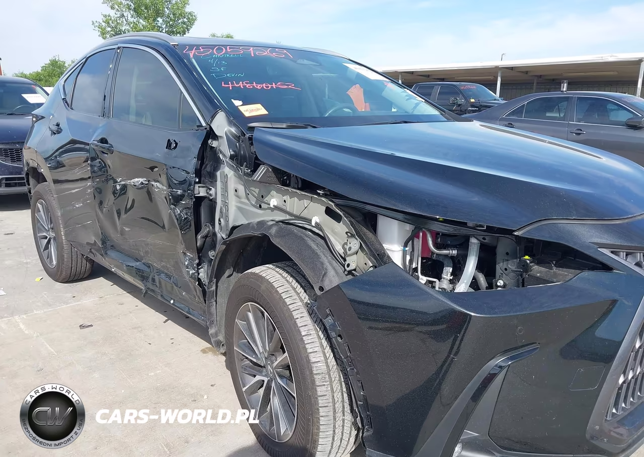 2025 Lexus Nx 350 Premium VIN:2T2GGCEZ8SC066190 - 19