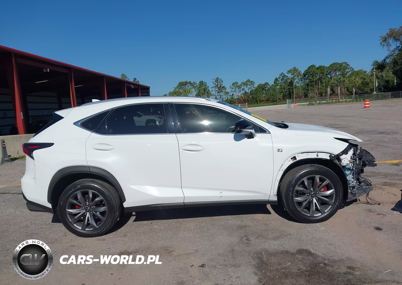 2018 Lexus Nx 300 F Sport VIN:JTJYARBZ2J2102032 - 14
