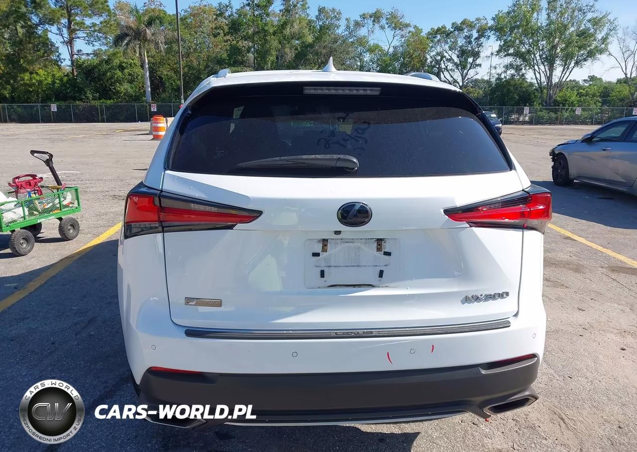 2018 Lexus Nx 300 F Sport VIN:JTJYARBZ2J2102032 - 17