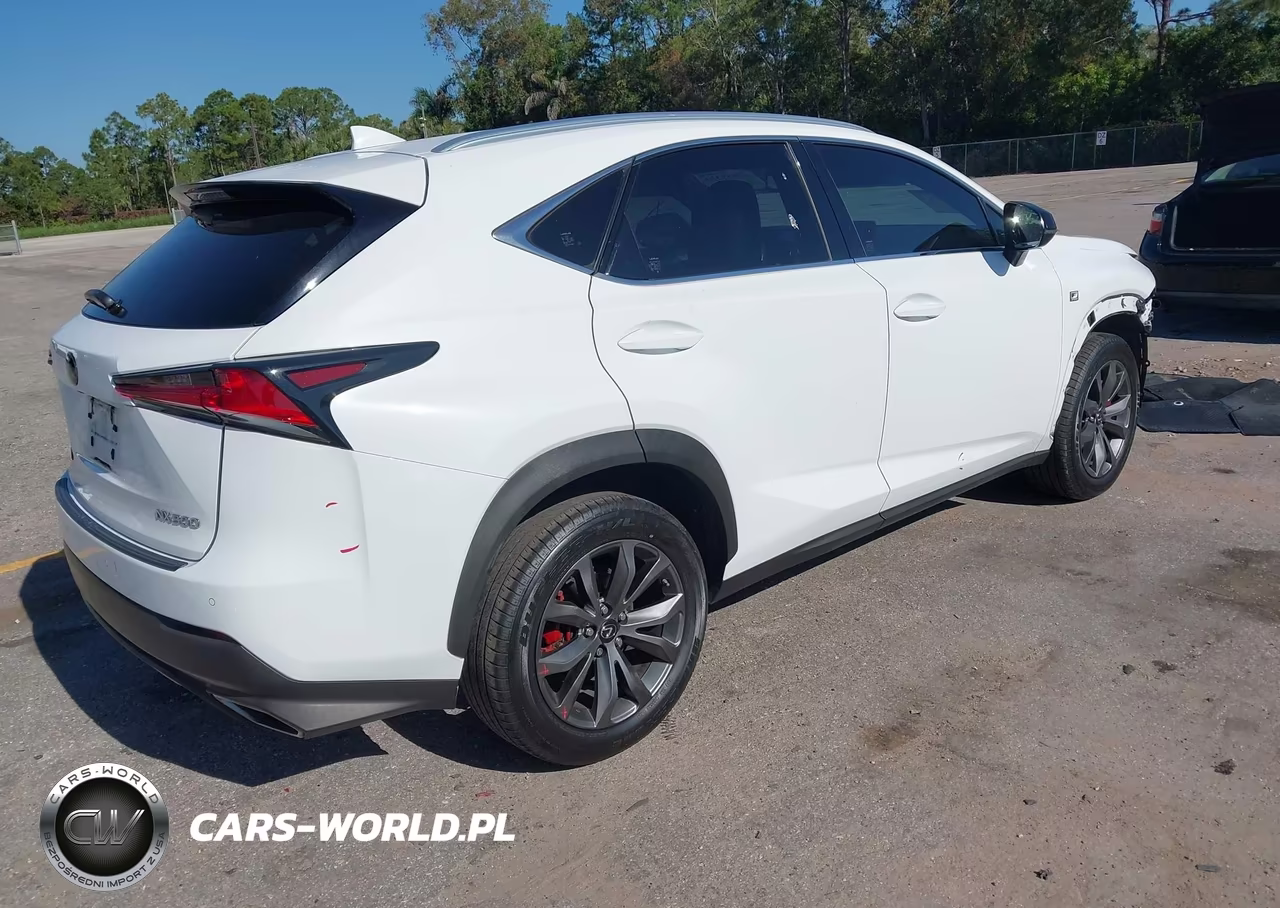 2018 Lexus Nx 300 F Sport VIN:JTJYARBZ2J2102032 - 4