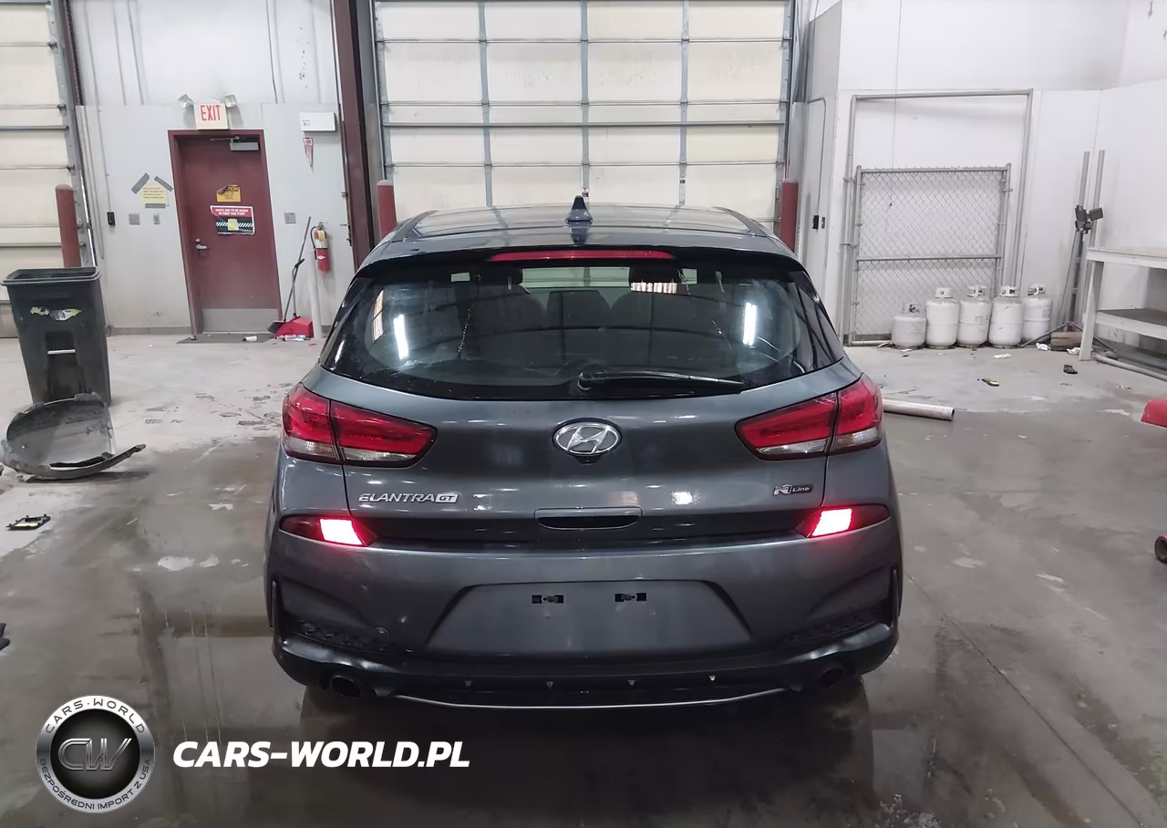 2019 Hyundai Elantra Gt N Line VIN:KMHH55LC0KU118774 - 17