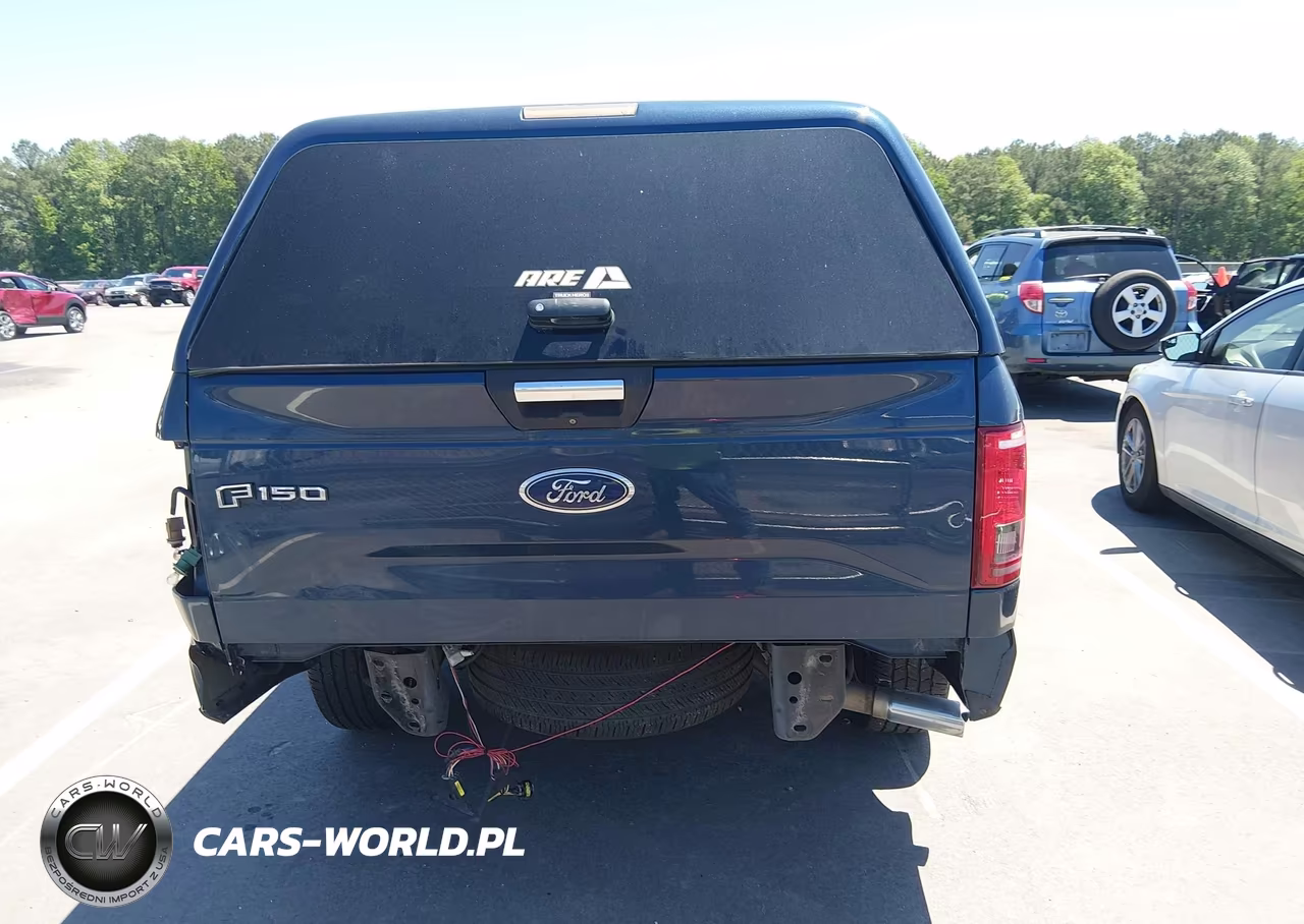 2015 Ford F-150 Xlt VIN:1FTEW1CP4FFC63049 - 17