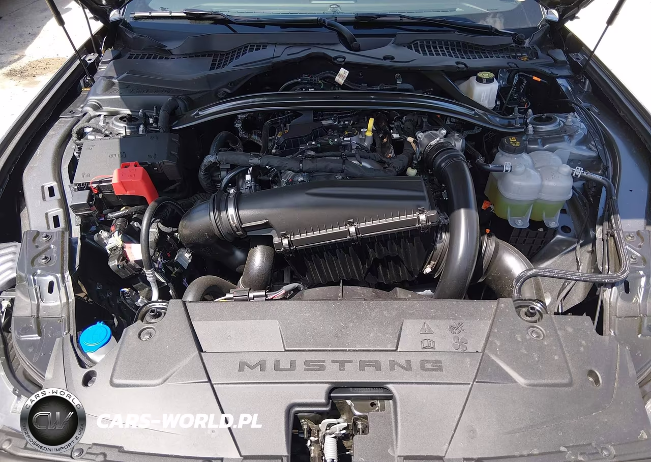 2026 Ford Mustang Ecoboost-Ecoboost Premium VIN:1FAGP8UH3T5118663 - 10