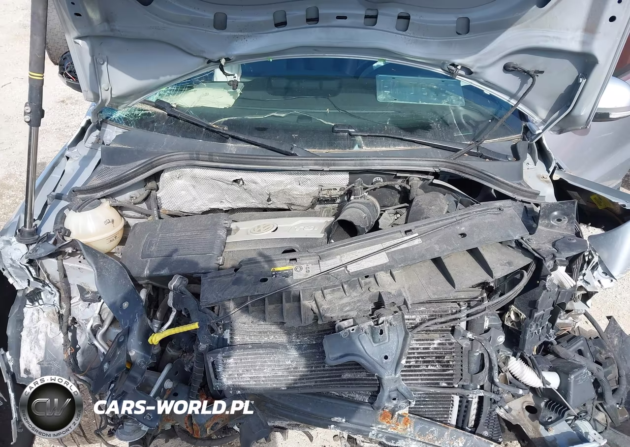 2013 Volkswagen Tiguan Se VIN:WVGAV3AX7DW627005 - 10