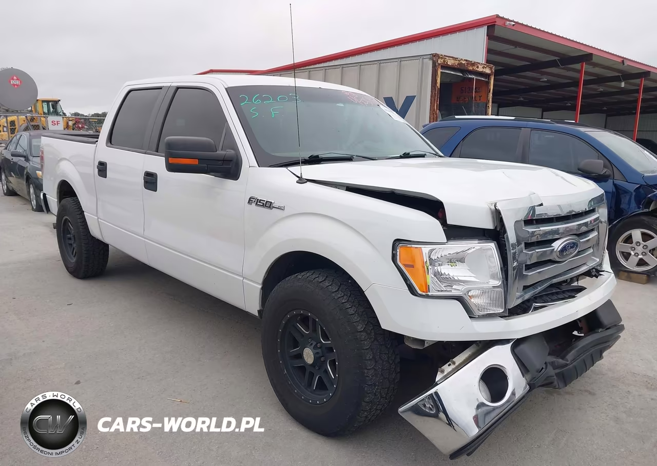2010 Ford F-150 – zdjęcie 1 z 19