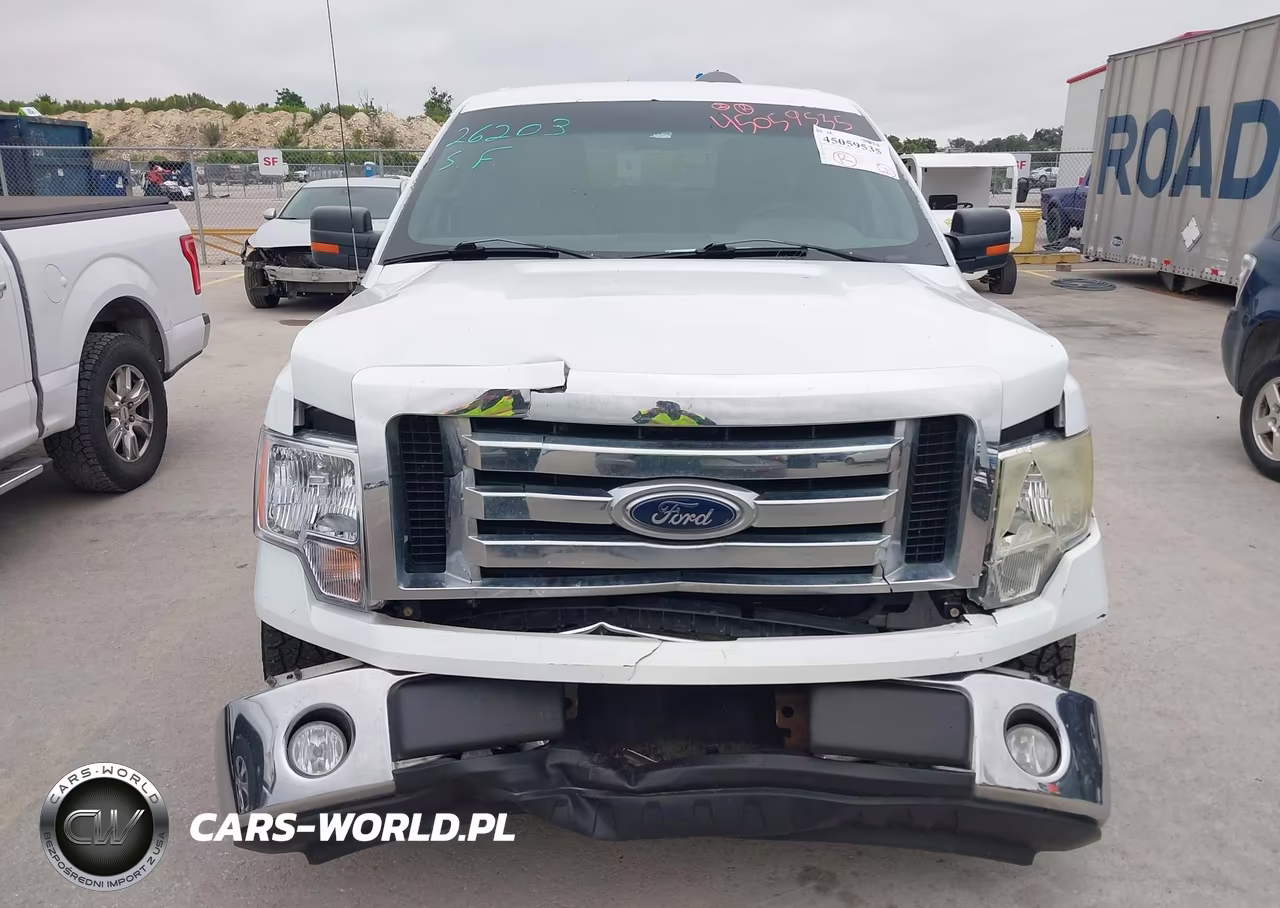 2010 Ford F-150 VIN:1FTFW1CV6AKE66981 - 12
