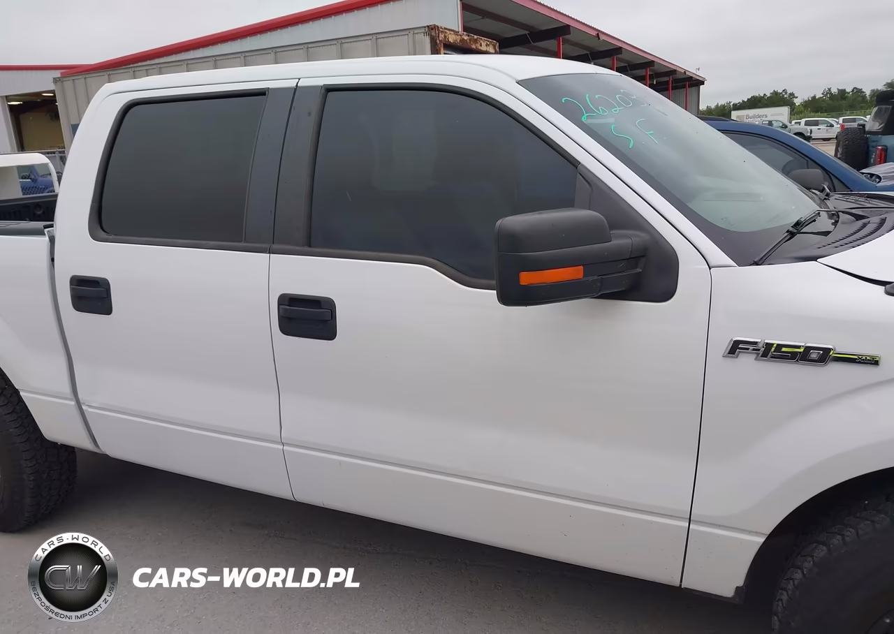 2010 Ford F-150 VIN:1FTFW1CV6AKE66981 - 13